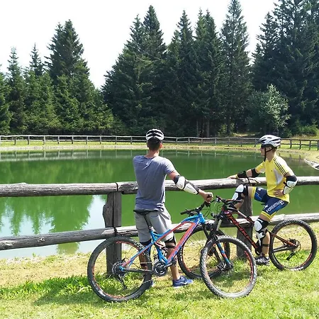 Prenocisca Hostel Cerkno