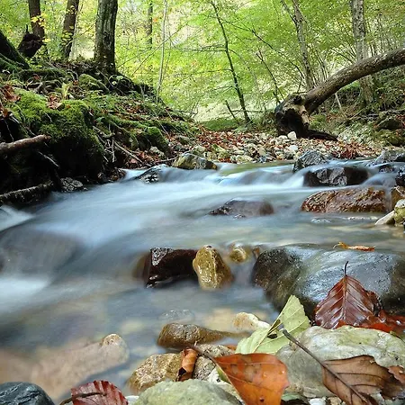Prenocisca * Cerkno