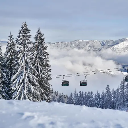 Prenocisca Cerkno