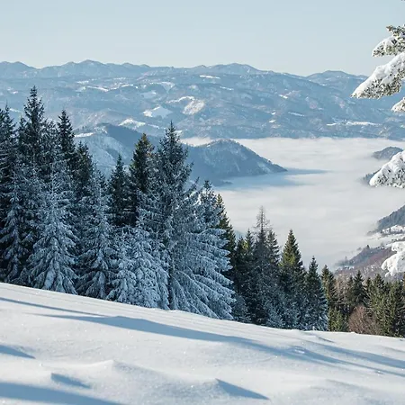 Hostel Prenocisca Cerkno